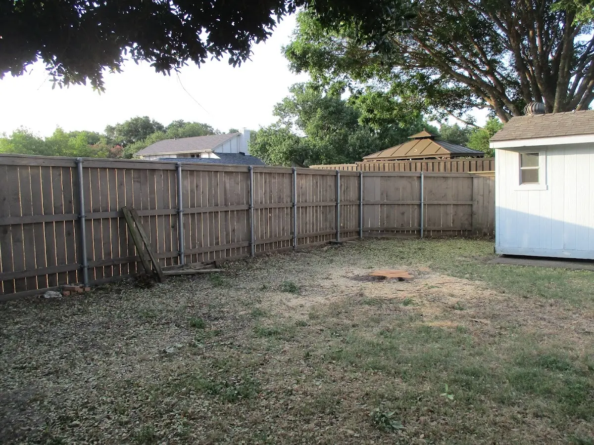 Cleared yard after professional tree removal in Murdock