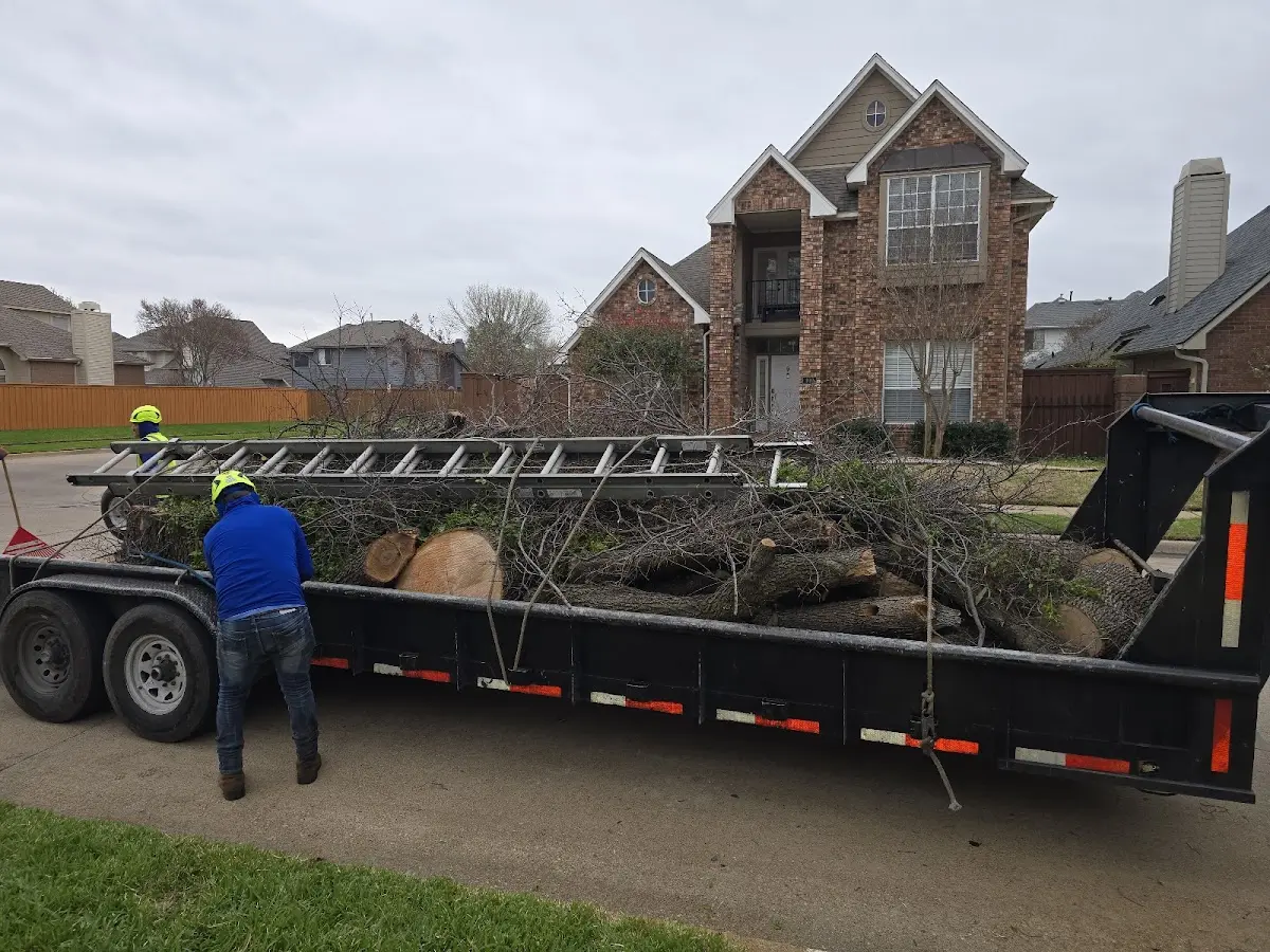 Expert Lot Clearing with proper safety equipment in Murdock